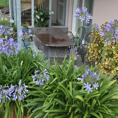 Apartamento Zum Torfstecher *