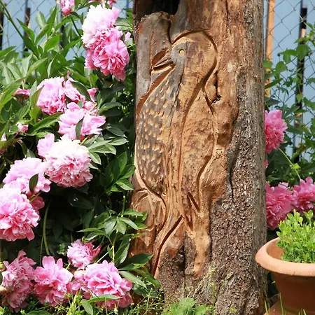 Zum Torfstecher Apartamento